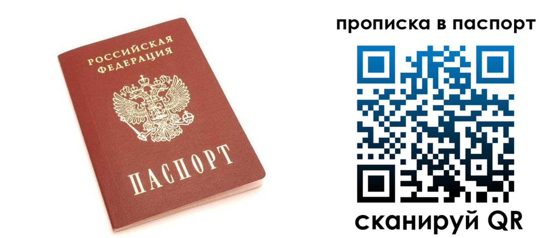 прописка в Химках